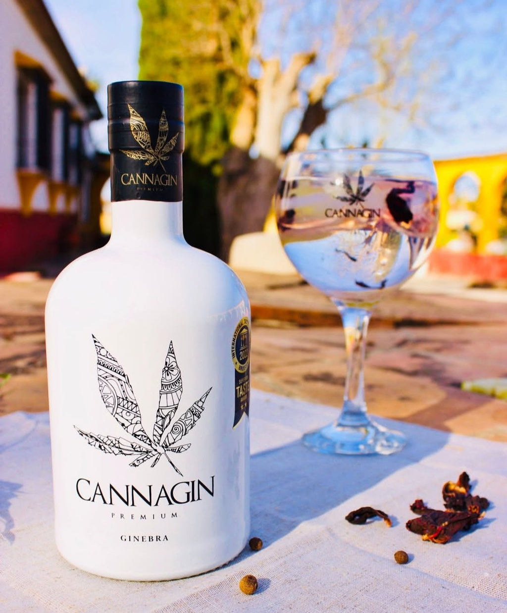 GINEBRA PREMIUM CANNAGIN 70 CL PARA LOS DIAS DE VERANO