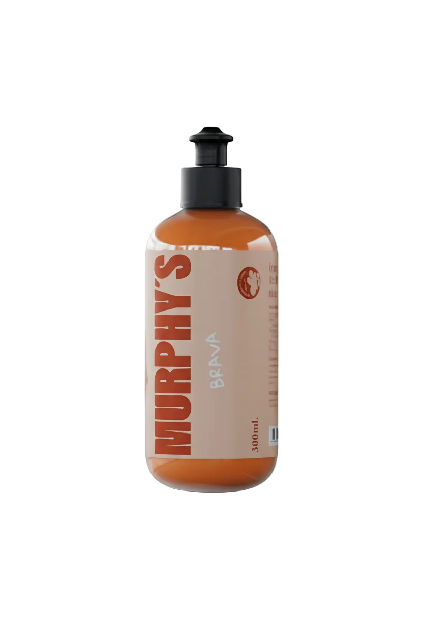 SALSA BRAVA mejorada - corregida